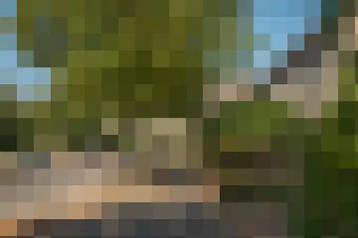 Salamanderstraat 18 Hengelo thumbnail 31