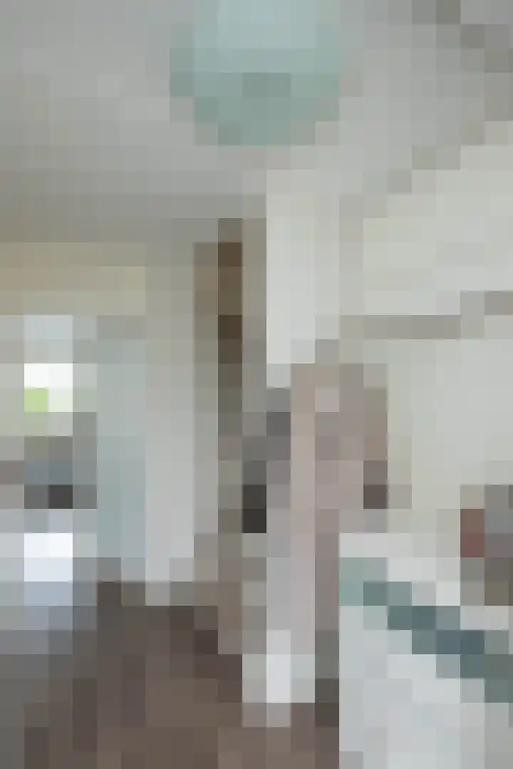 Salamanderstraat 46 Hengelo thumbnail 12