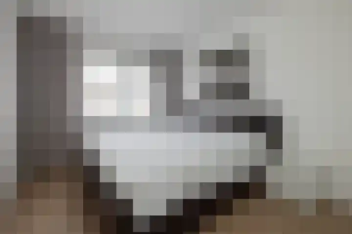 Salamanderstraat 46 Hengelo thumbnail 13