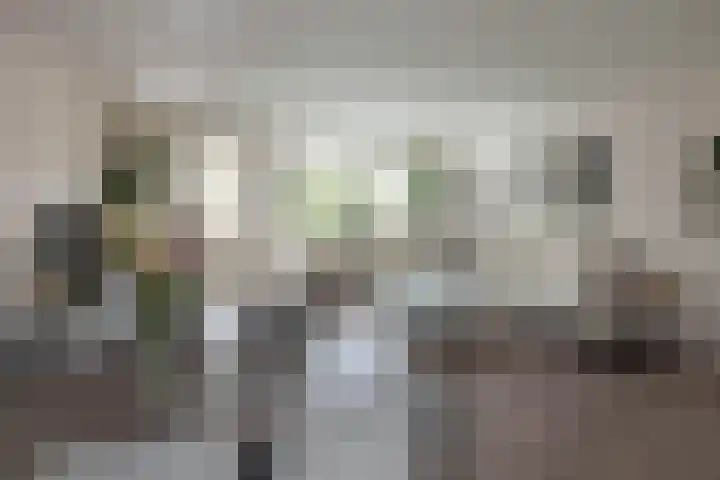 Salamanderstraat 46 Hengelo thumbnail 4