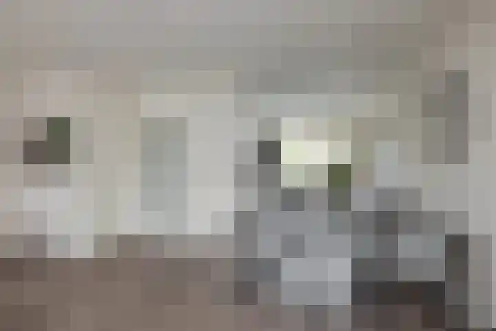 Salamanderstraat 46 Hengelo thumbnail 6