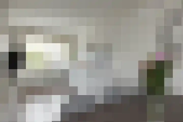 Salamanderstraat 46 Hengelo thumbnail 7