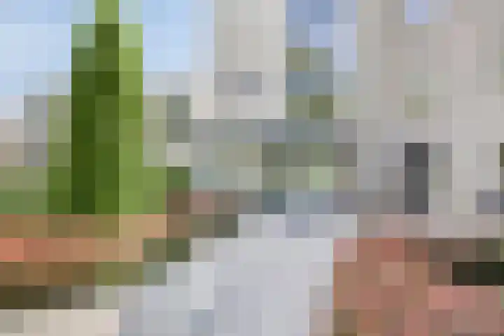 Salamanderstraat 67 Hengelo thumbnail 7