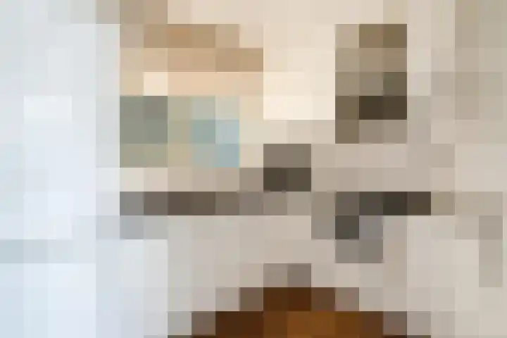 Salamanderstraat 73 Hengelo thumbnail 21