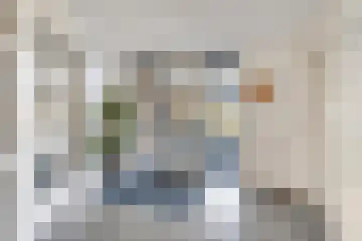 Salamanderstraat 73 Hengelo thumbnail 5