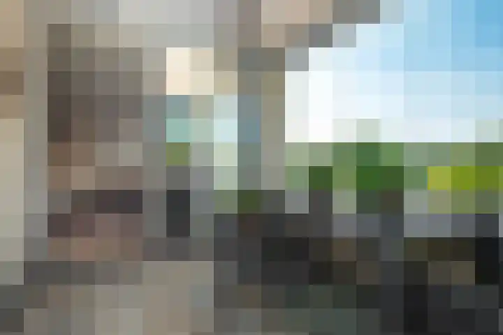 Salamanderstraat 75 Hengelo thumbnail 38