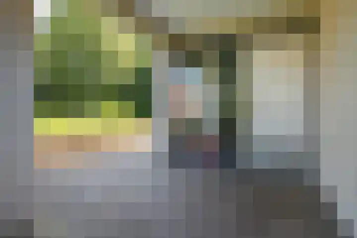 Salamanderstraat 75 Hengelo thumbnail 42