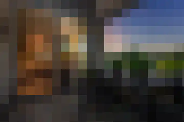 Salamanderstraat 75 Hengelo thumbnail 55