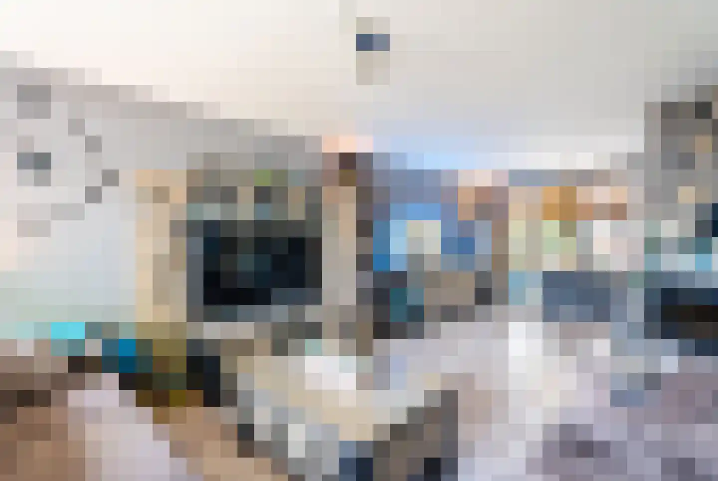 Salamanderveen 105 Spijkenisse thumbnail 10