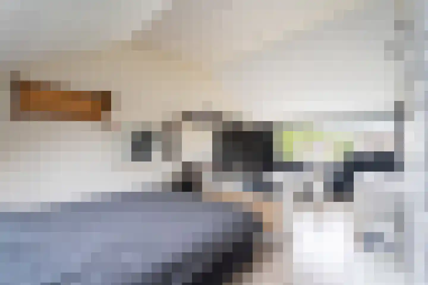 Salamanderveen 105 Spijkenisse thumbnail 28