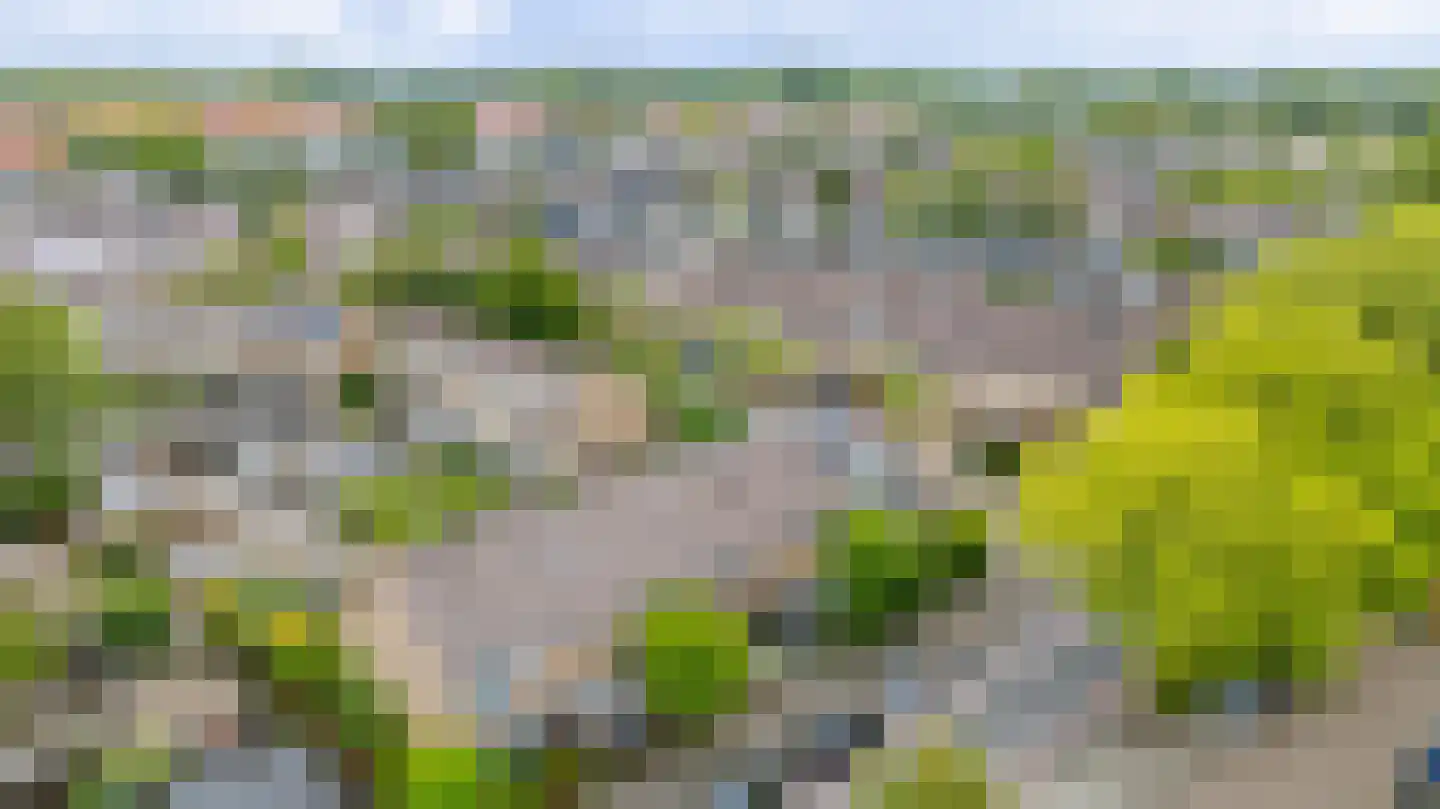 Salamanderveen 105 Spijkenisse thumbnail 5