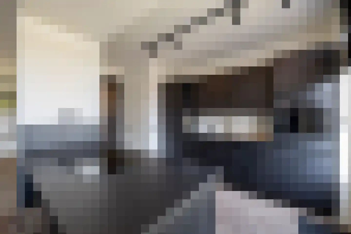Salamanderveen 107 Spijkenisse thumbnail 17