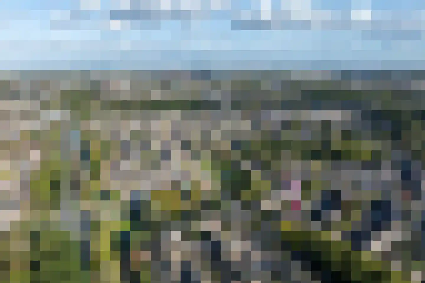 Salamanderveen 107 Spijkenisse thumbnail 50