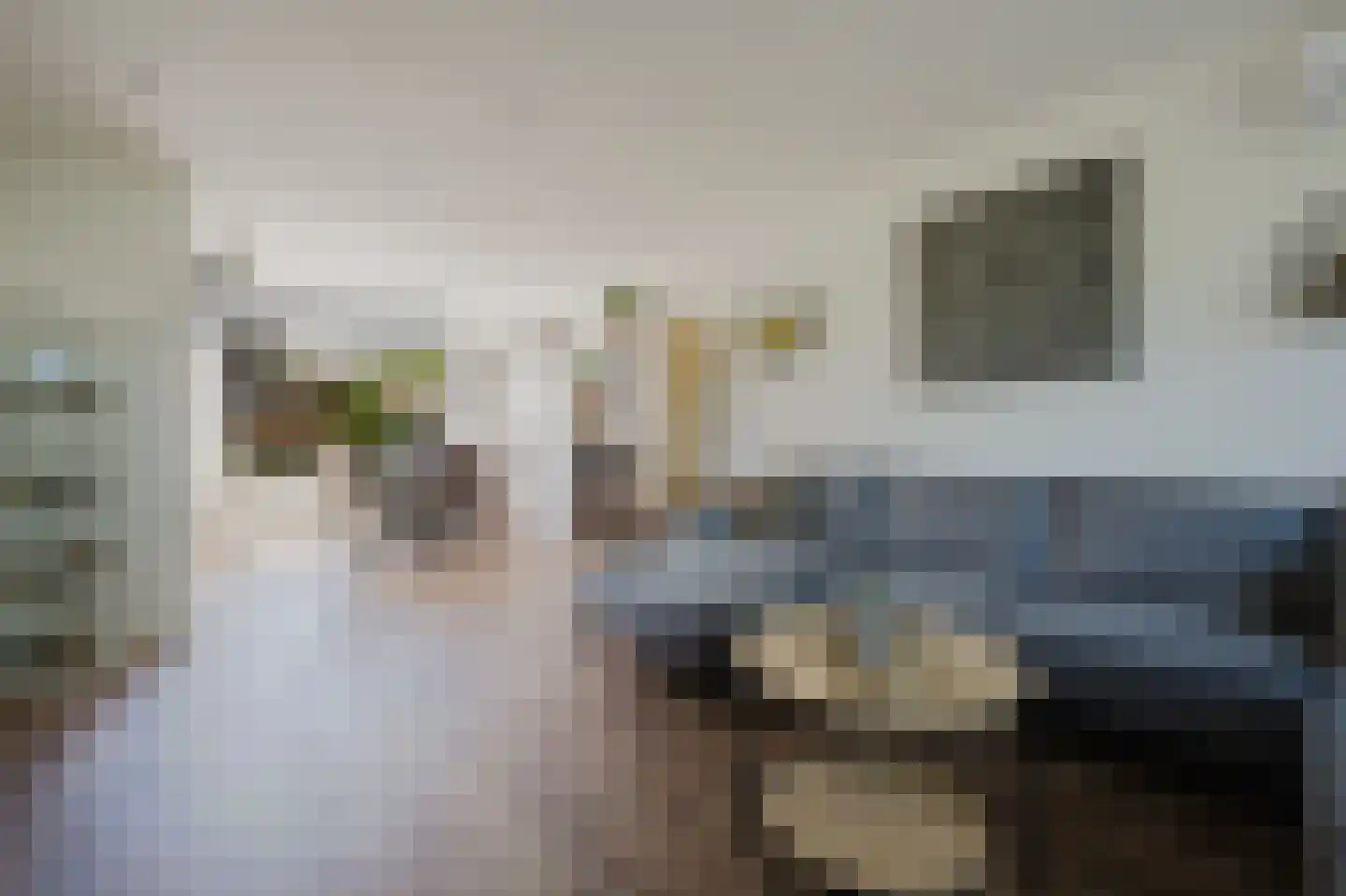 Salamanderveen 119 Spijkenisse thumbnail 15