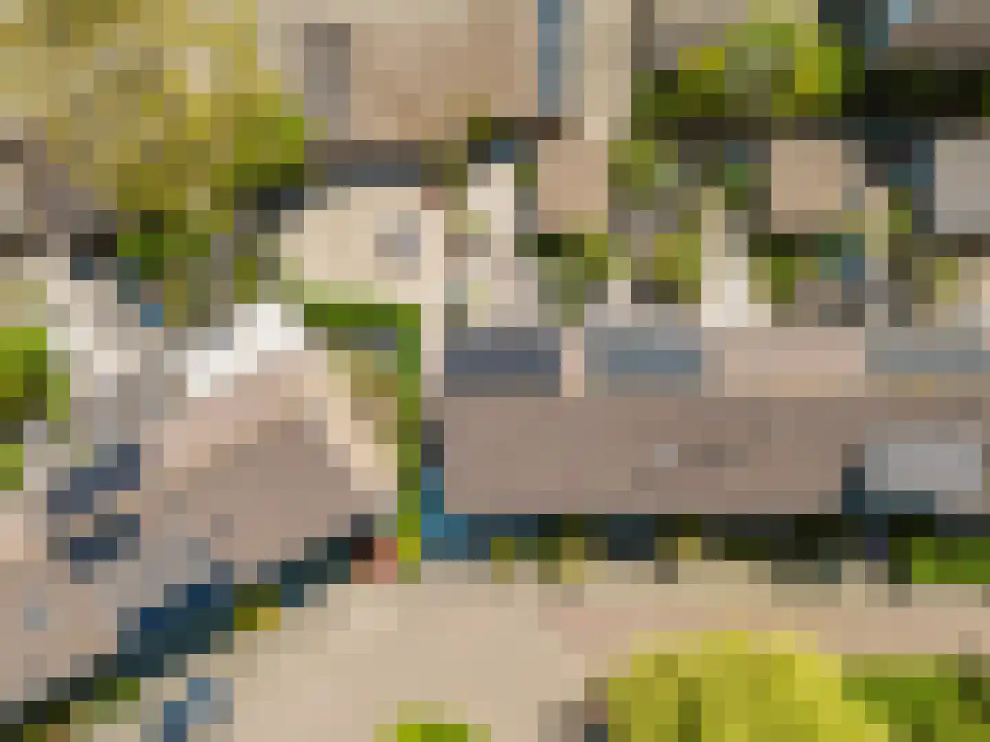Salamanderveen 119 Spijkenisse thumbnail 8