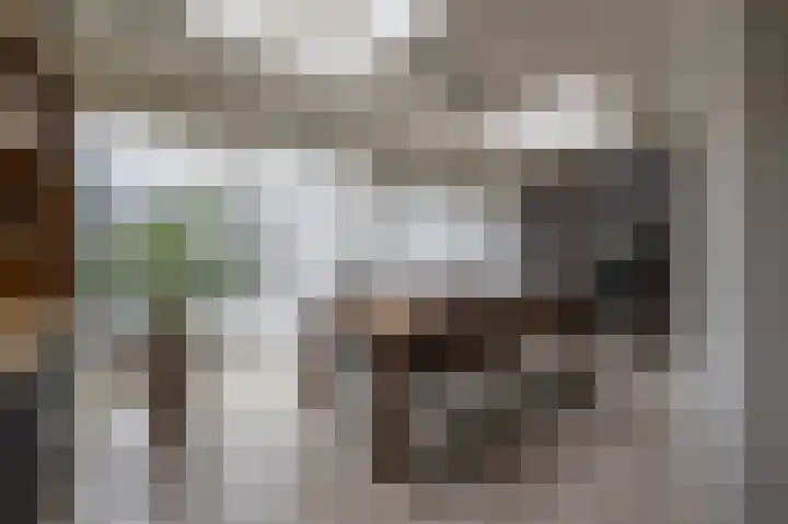 Salamanderveen 123 Spijkenisse thumbnail 15