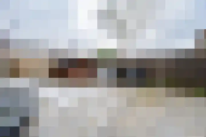 Salamanderveen 123 Spijkenisse thumbnail 16