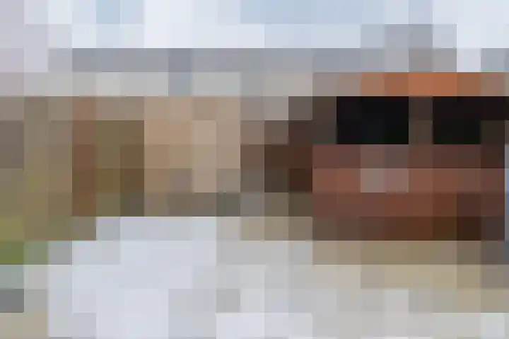 Salamanderveen 123 Spijkenisse thumbnail 17