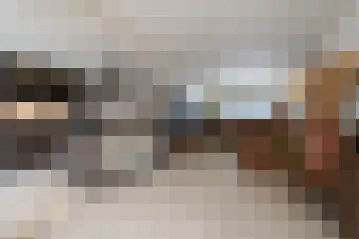 Salamanderveen 123 Spijkenisse thumbnail 20