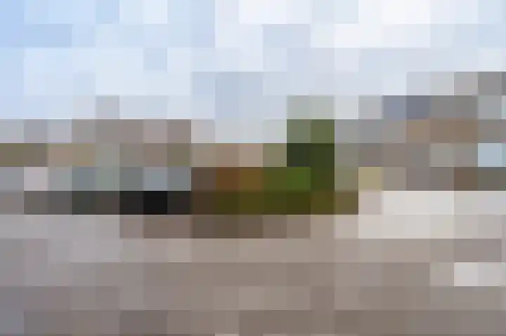 Salamanderveen 123 Spijkenisse thumbnail 31