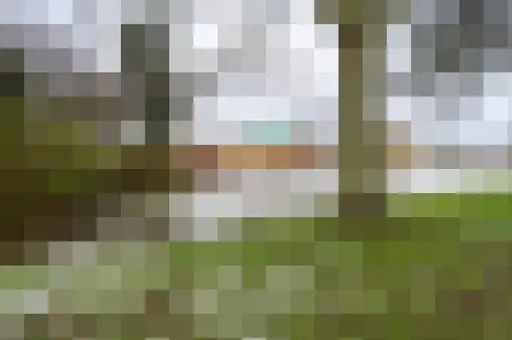 Salamanderveen 123 Spijkenisse thumbnail 32