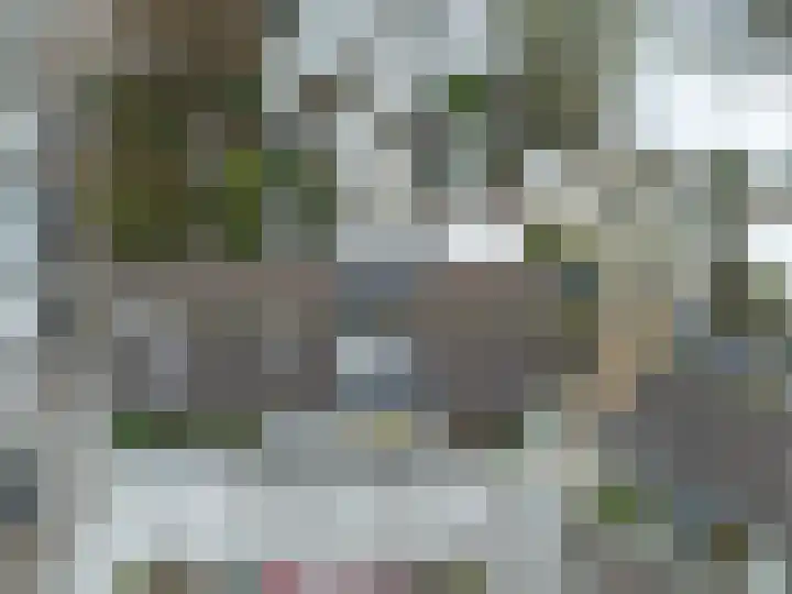 Salamanderveen 123 Spijkenisse thumbnail 6