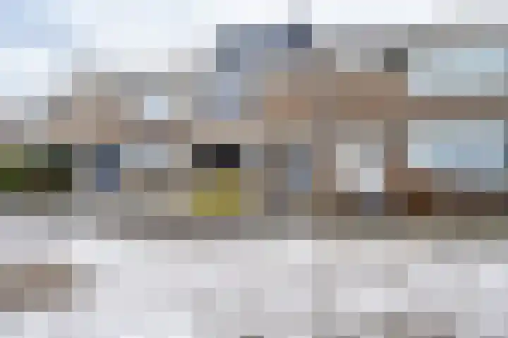 Salamanderveen 123 Spijkenisse thumbnail 8