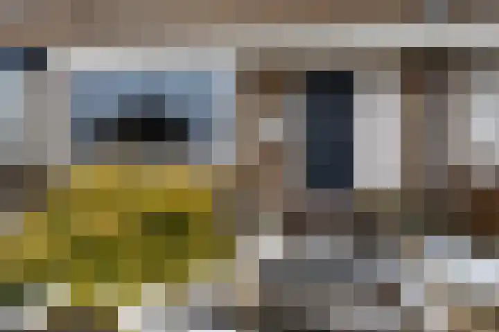 Salamanderveen 123 Spijkenisse thumbnail 9