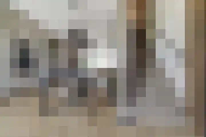Salamanderveen 222 Spijkenisse thumbnail 10