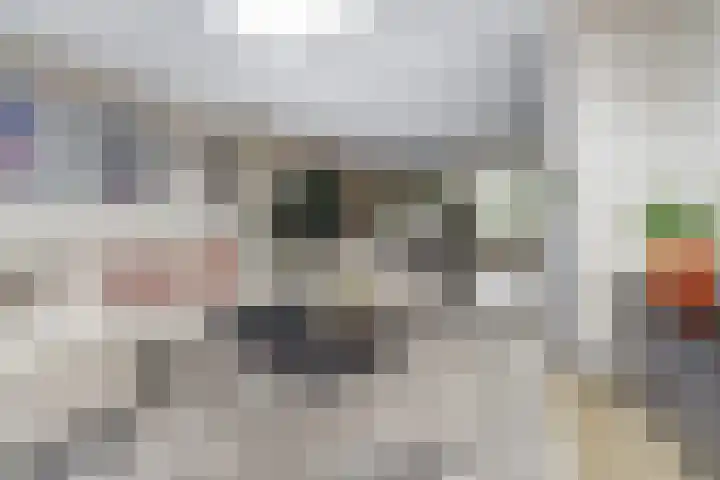 Salamanderveen 222 Spijkenisse thumbnail 12