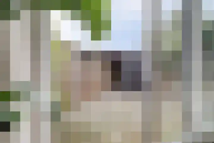 Salamanderveen 222 Spijkenisse thumbnail 15