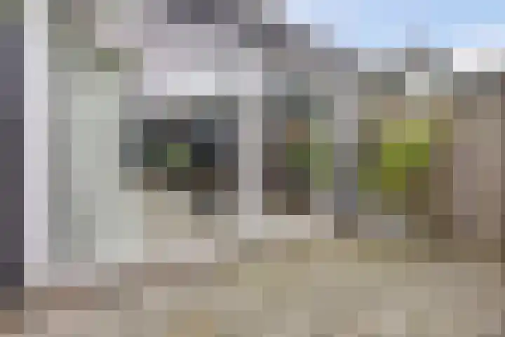 Salamanderveen 222 Spijkenisse thumbnail 16