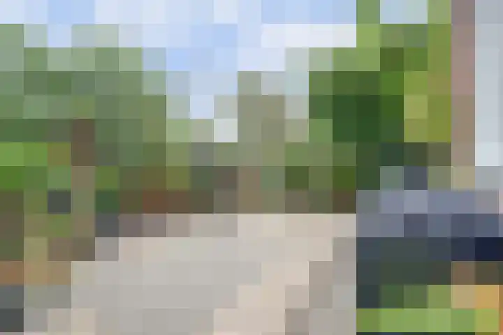 Salamanderveen 222 Spijkenisse thumbnail 17
