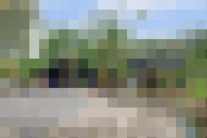 Salamanderveen 222 Spijkenisse thumbnail 18