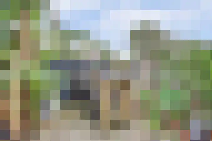 Salamanderveen 222 Spijkenisse thumbnail 19
