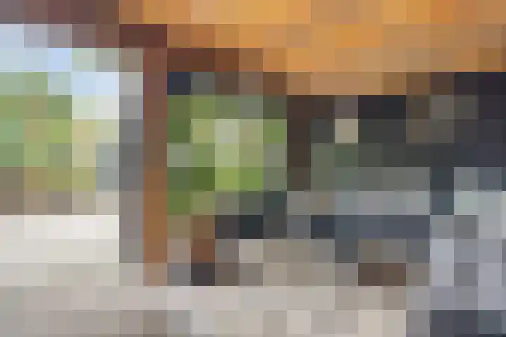Salamanderveen 222 Spijkenisse thumbnail 20
