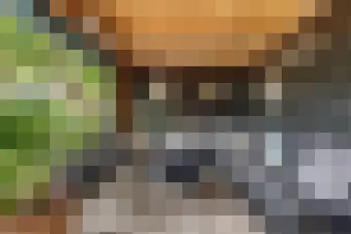 Salamanderveen 222 Spijkenisse thumbnail 21