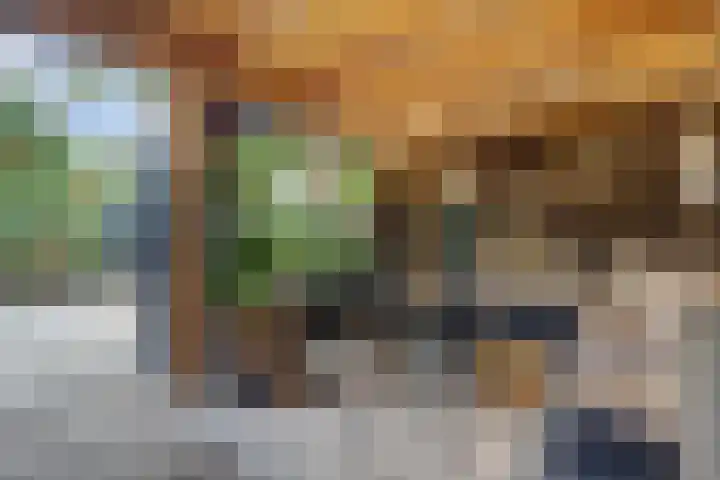 Salamanderveen 222 Spijkenisse thumbnail 22