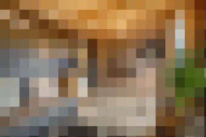 Salamanderveen 222 Spijkenisse thumbnail 23