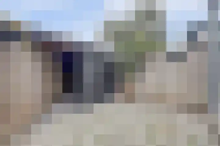 Salamanderveen 222 Spijkenisse thumbnail 25