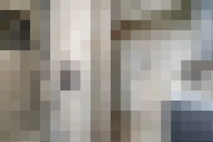 Salamanderveen 222 Spijkenisse thumbnail 28