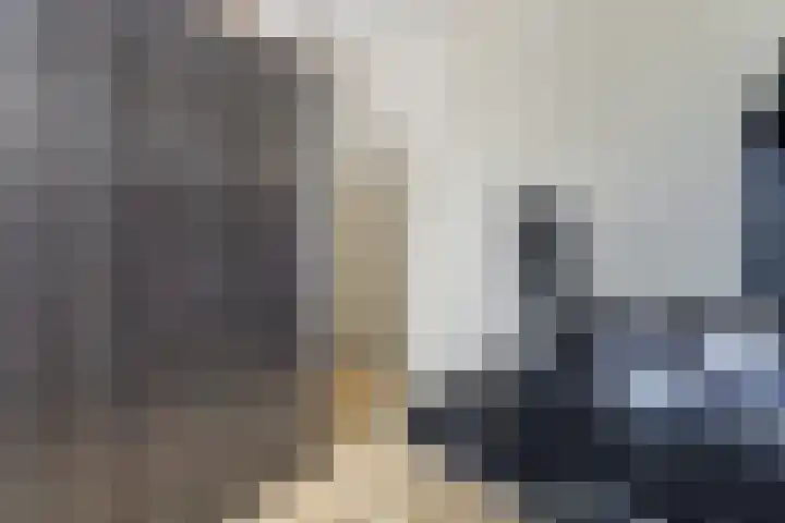 Salamanderveen 222 Spijkenisse thumbnail 34