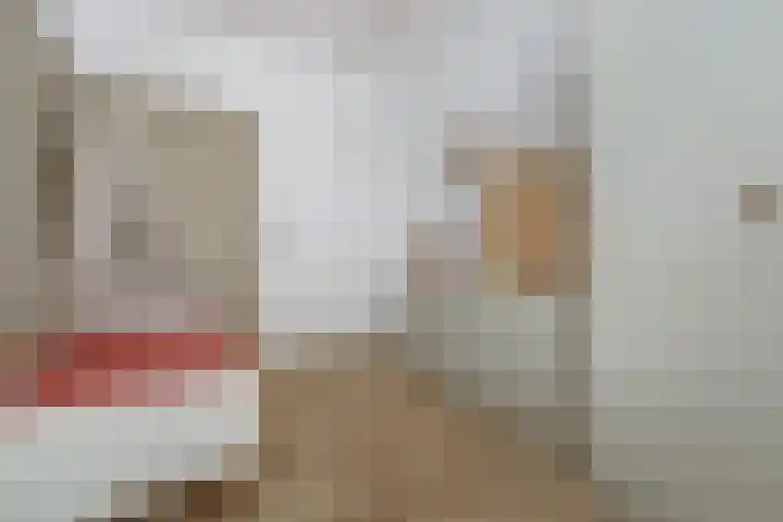 Salamanderveen 222 Spijkenisse thumbnail 36