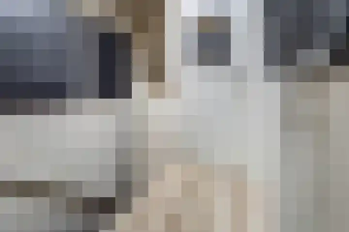 Salamanderveen 222 Spijkenisse thumbnail 39