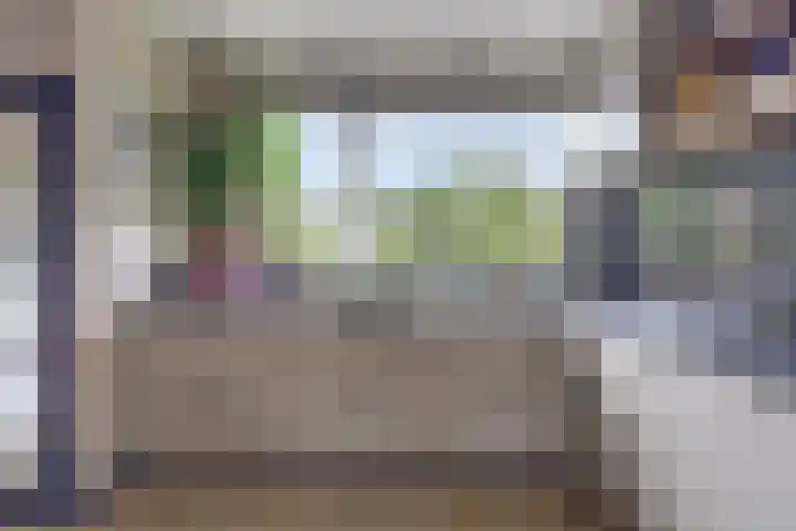 Salamanderveen 222 Spijkenisse thumbnail 4