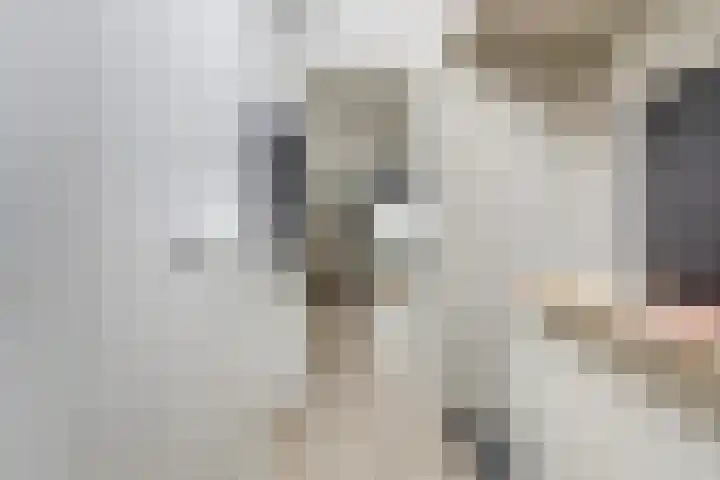 Salamanderveen 222 Spijkenisse thumbnail 42