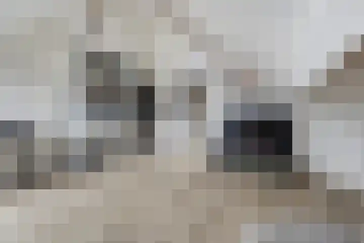 Salamanderveen 222 Spijkenisse thumbnail 44