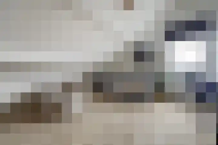 Salamanderveen 222 Spijkenisse thumbnail 45
