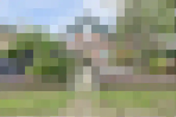 Salamanderveen 222 Spijkenisse thumbnail 52