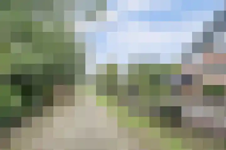 Salamanderveen 222 Spijkenisse thumbnail 53